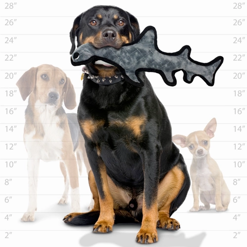 Tuffy Ocean Dog Squeaky Toys, Hadley the Hammerhead