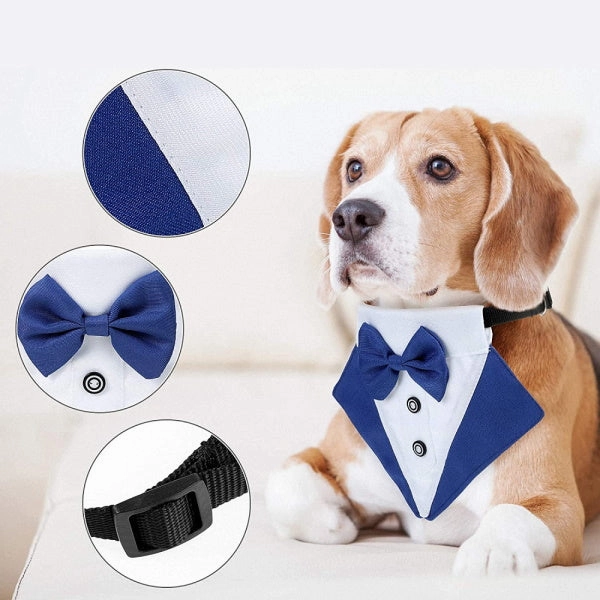 Tuxedo Dog Bandana - Blue