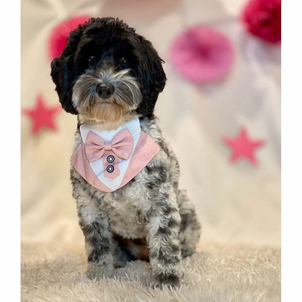 Tuxedo Dog Bandana - Dusty Pink