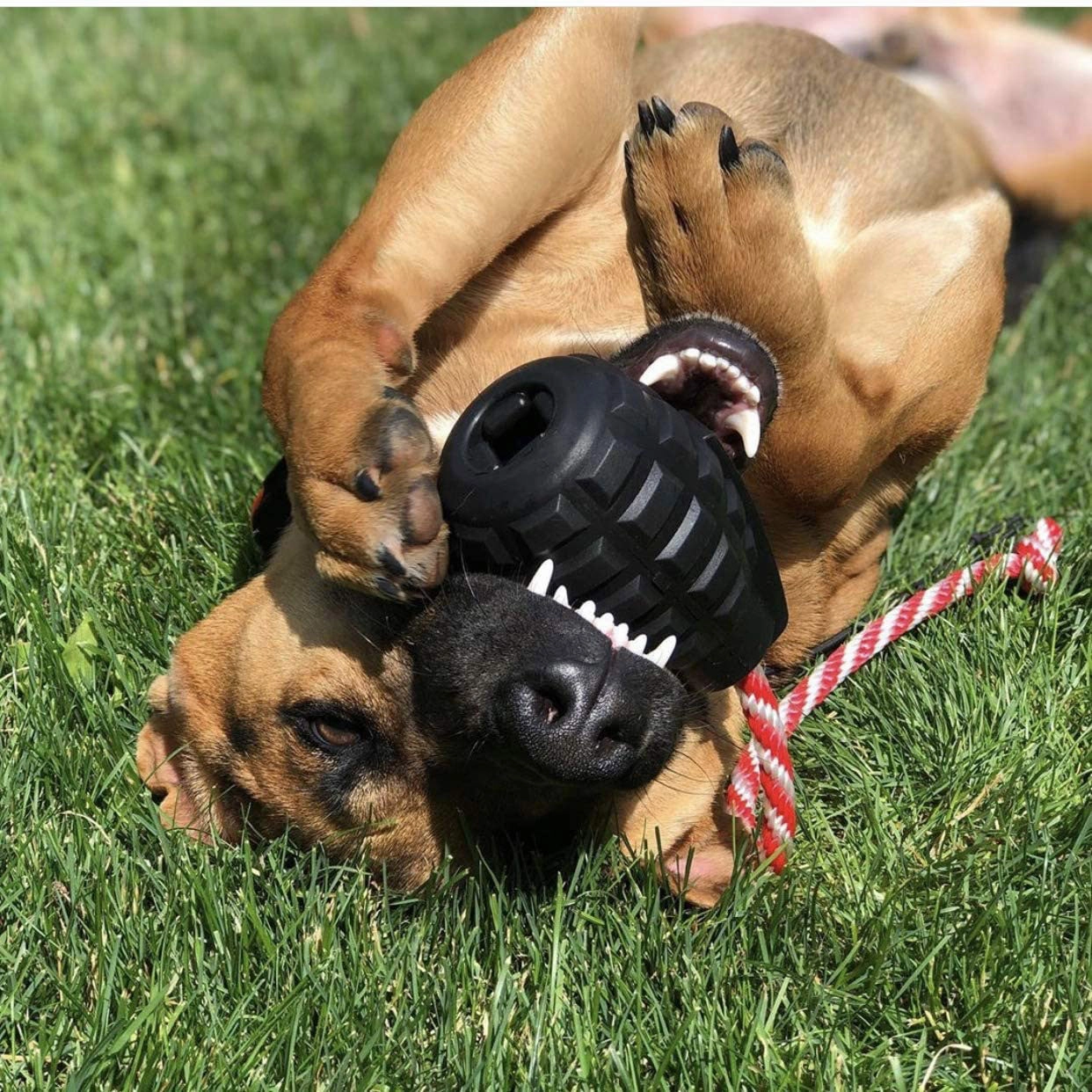 USA-K9 Magnum Grenade Chew