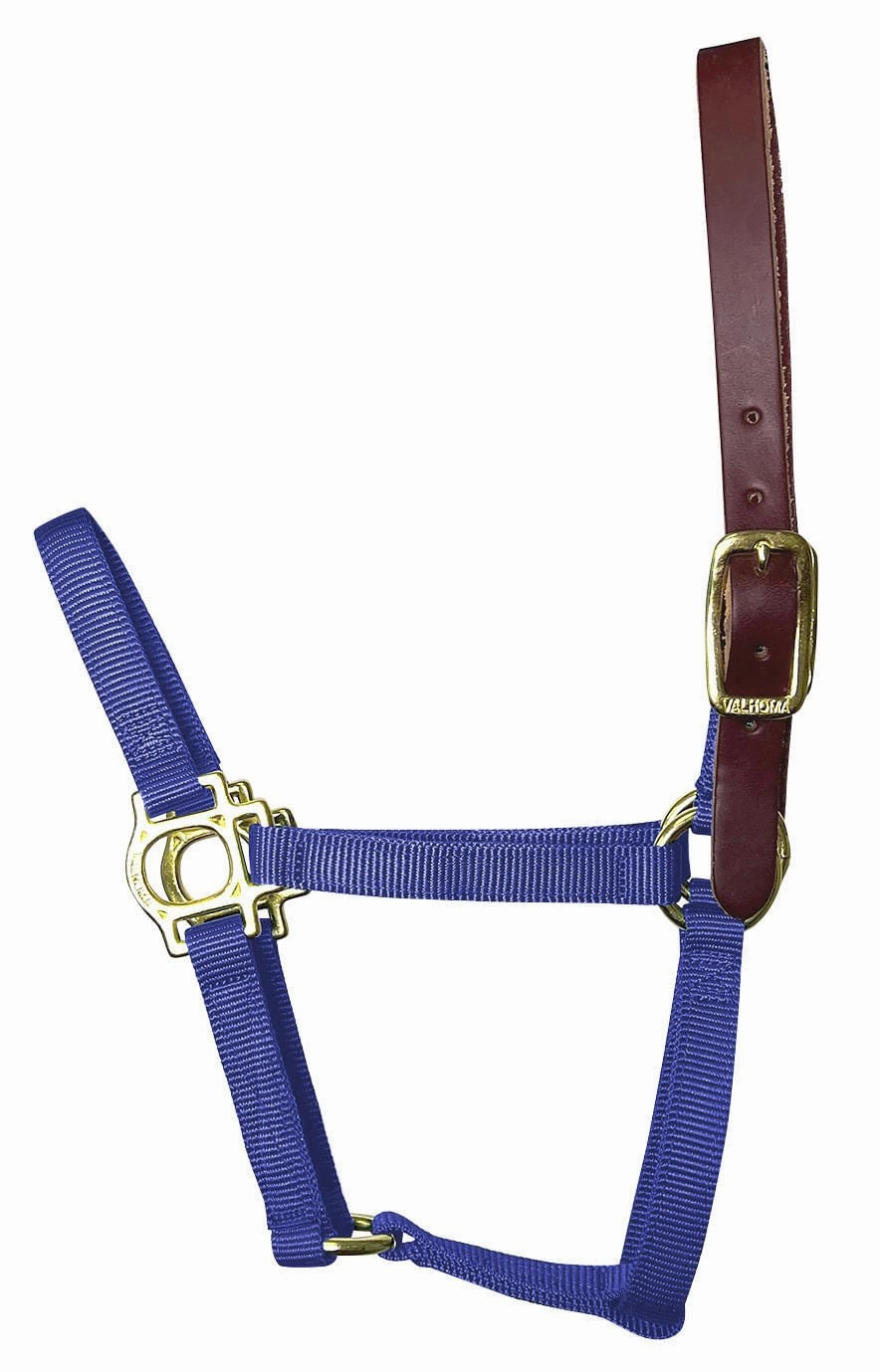Valhoma Foal & Yearling Premium Breakaway Nylon Halter with Leather Crown