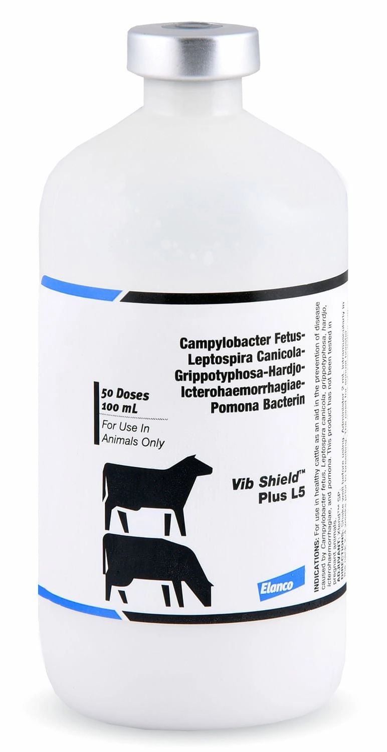 Vib Shield Plus L5 Cattle Vaccine