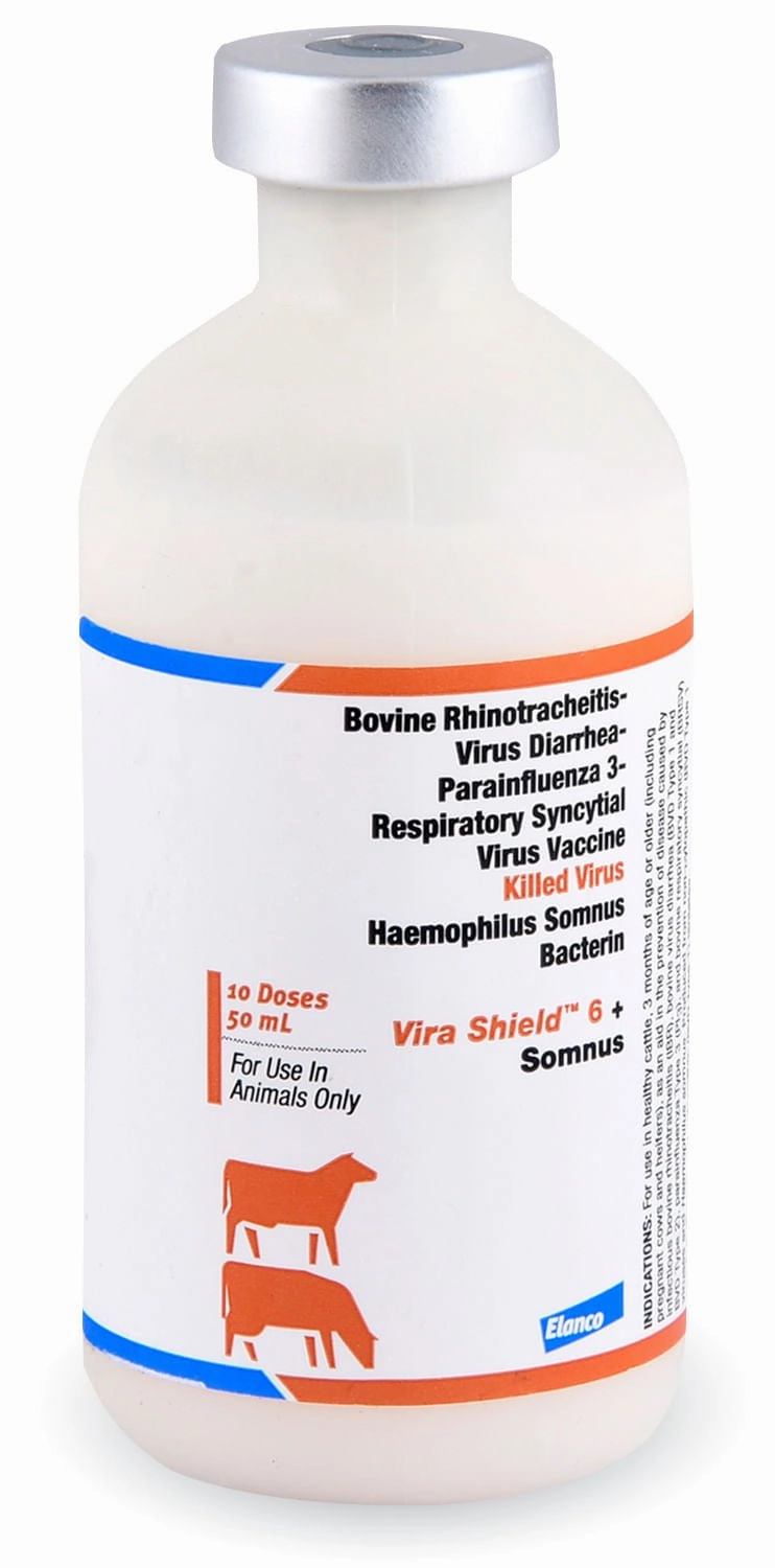 Vira Shield 6   Somnus Cattle Vaccine