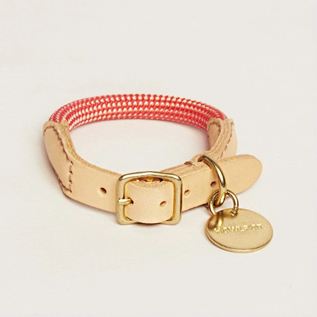 We are Tight: Rope Dog Collar, Coral Aid