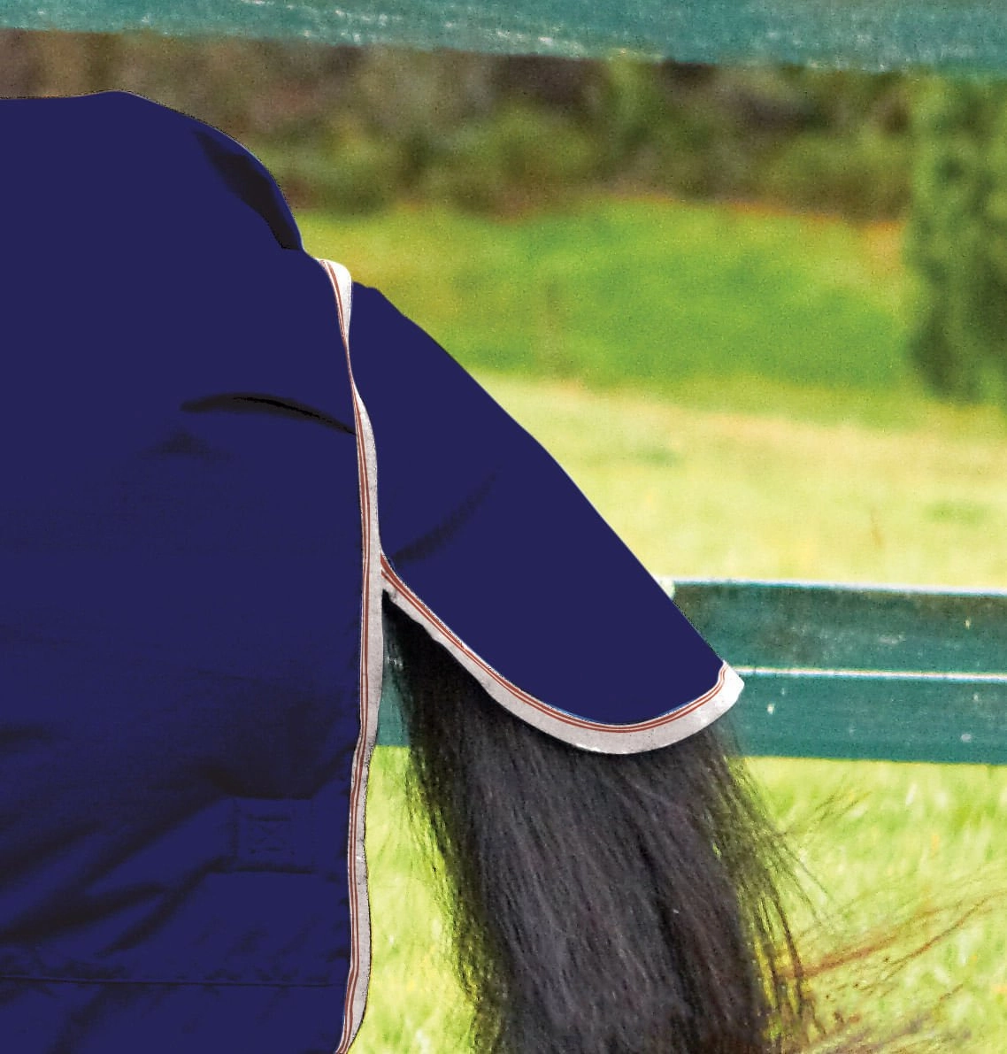 WeatherBeeta ComFiTec Essential Combo Neck Medium Weight Horse Blanket
