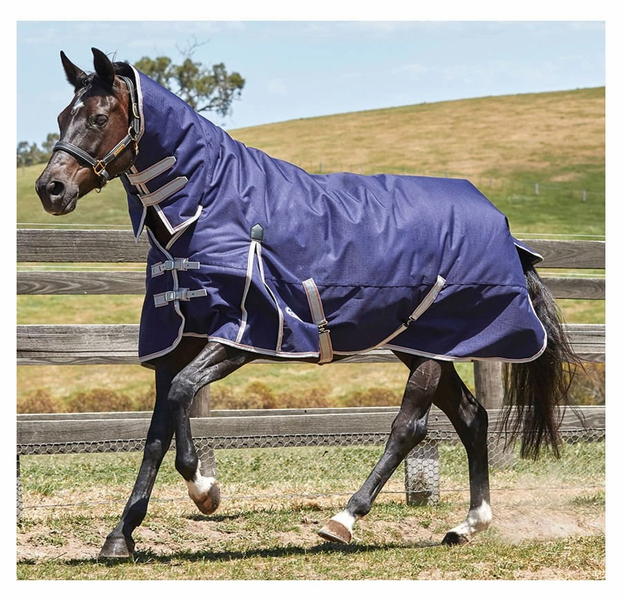 WeatherBeeta ComFiTec Essential Combo Neck Medium Weight Horse Blanket