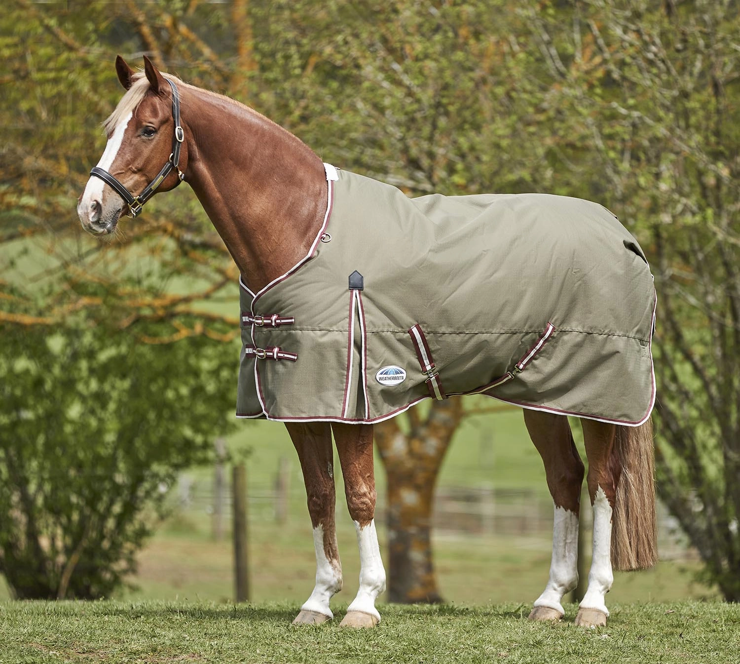 WeatherBeeta ComFITec Essential Standard Neck Medium Weight Horse Blanket