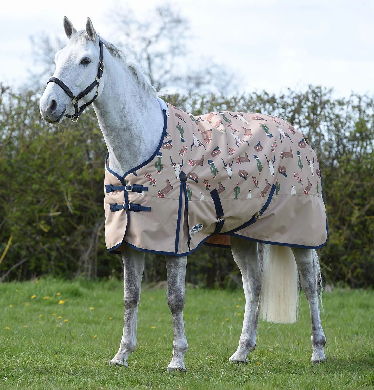 WeatherBeeta ComFITec Essential Standard Neck Medium Weight Horse Blanket, Sante Fe Sands