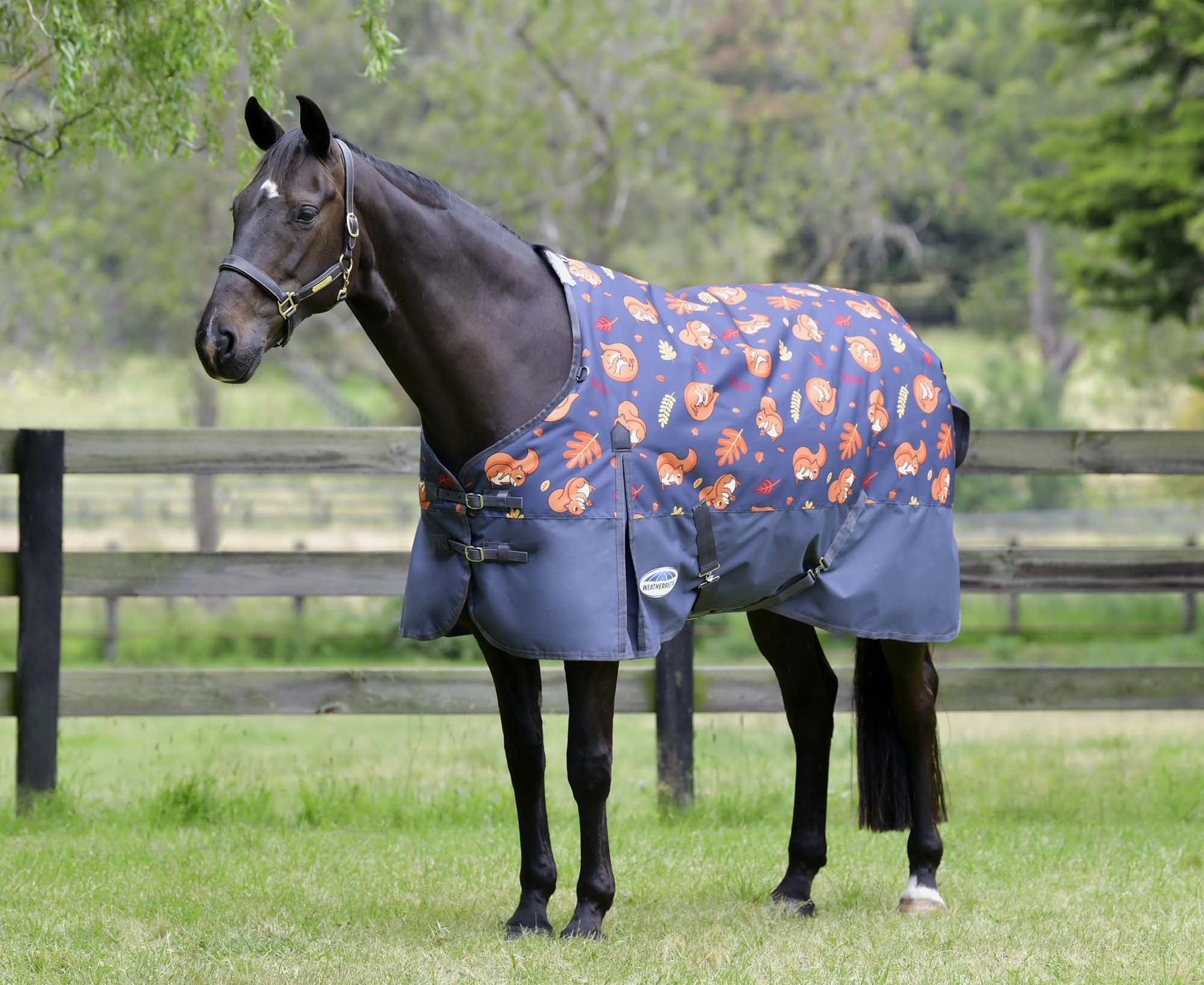 WeatherBeeta ComFITec Essential Standard Neck Turnout, Medium, Squirrel Print