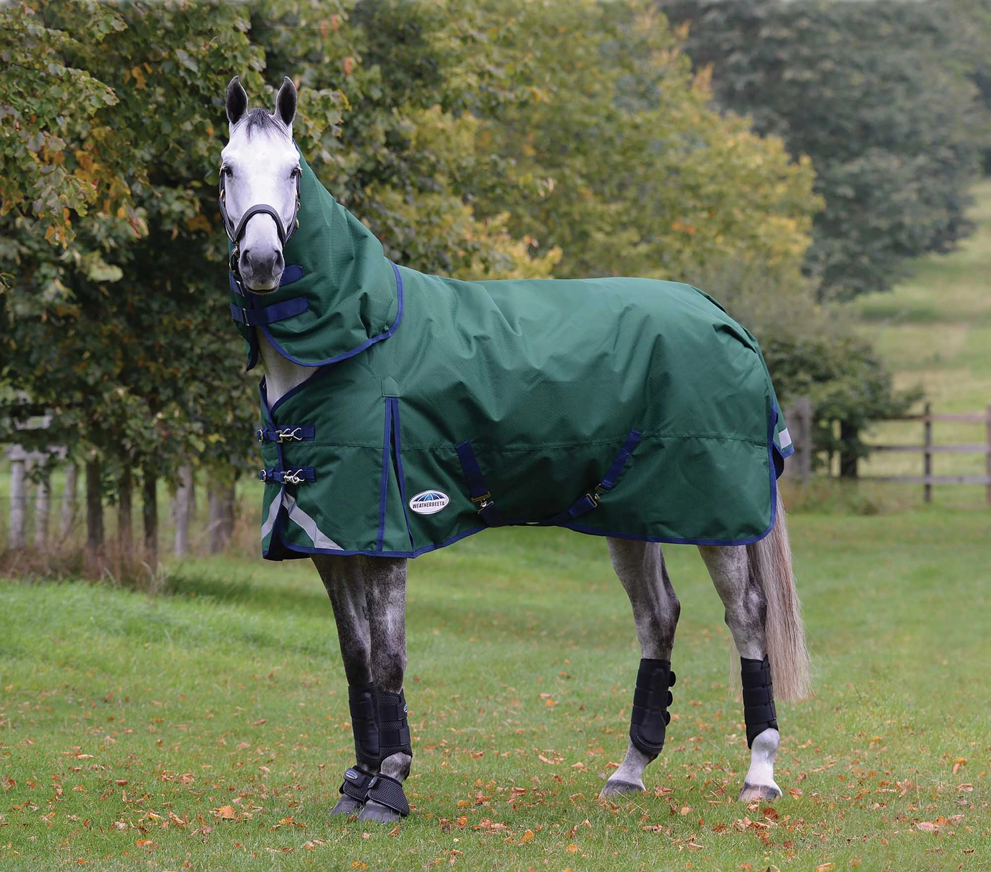 Weatherbeeta ComFITec Plus Dynamic II Detach-A-Neck Heavy Turnout Blanket for Horses