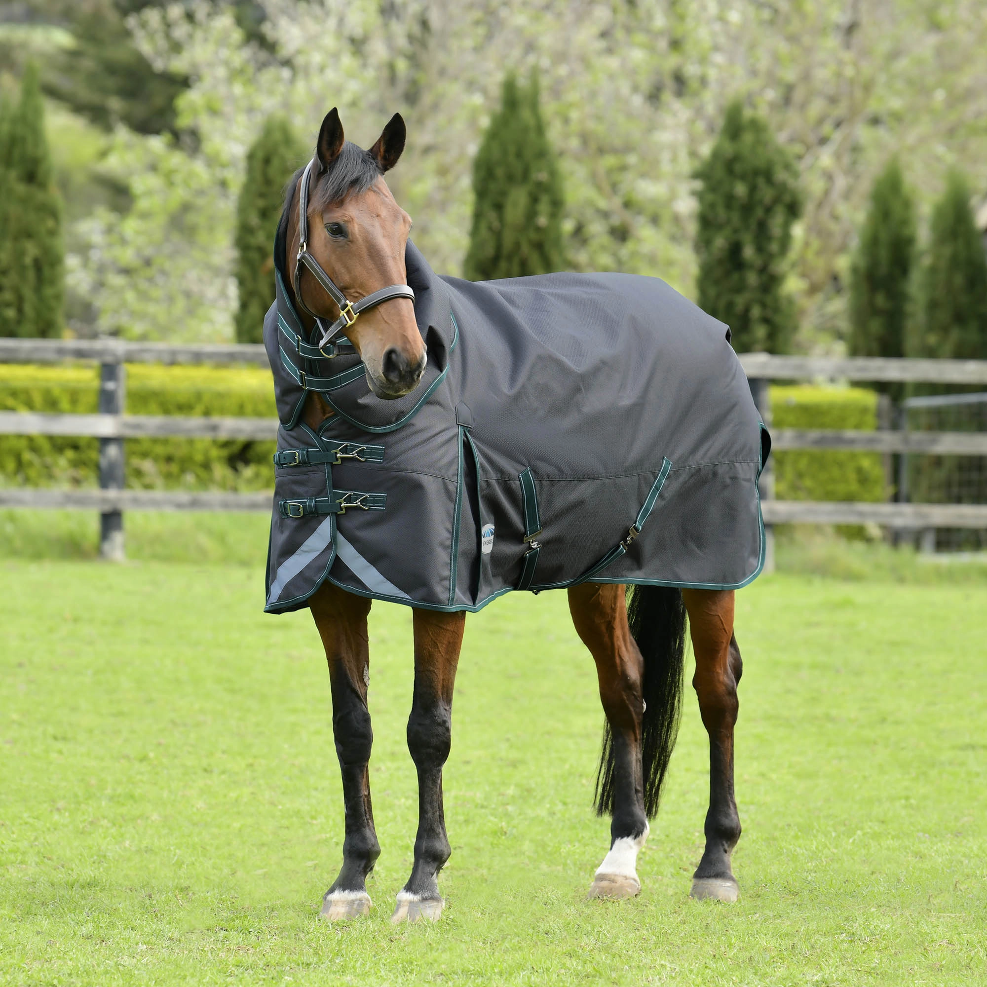 WeatherBeeta ComFITec Plus Dynamic II Detach-a-Neck Turnout Blanket, Medium