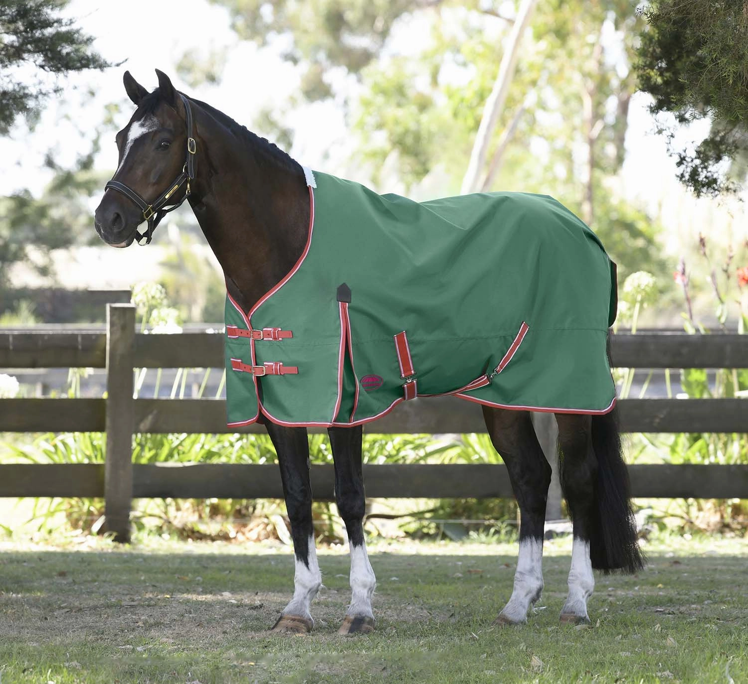 WeatherBeeta ComFITec Prelim Standard Neck Horse Turnout Blanket, Medium Weight
