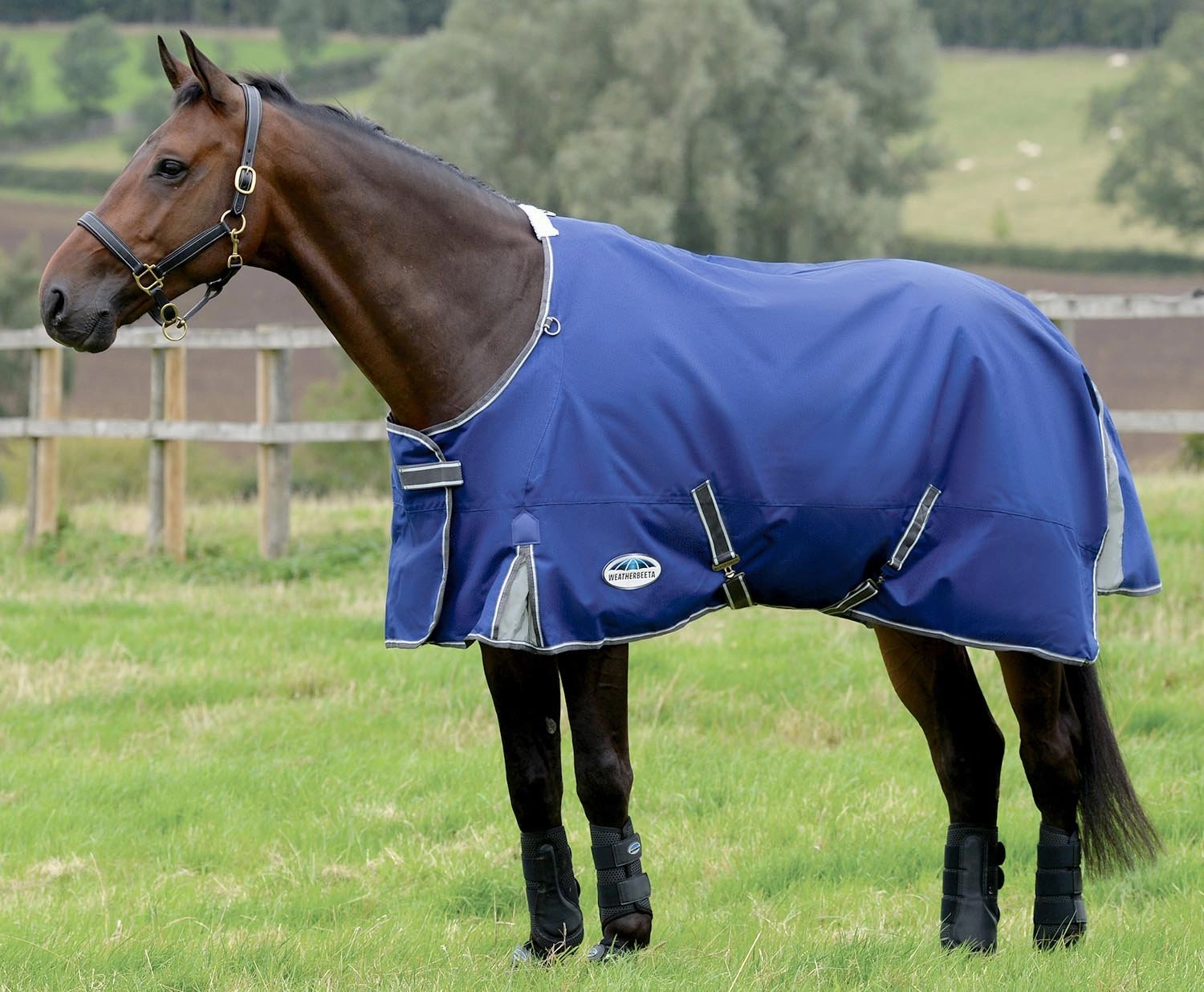 WeatherBeeta ComFITec Premier Free II Standard Neck, Medium, Dark Blue/Grey