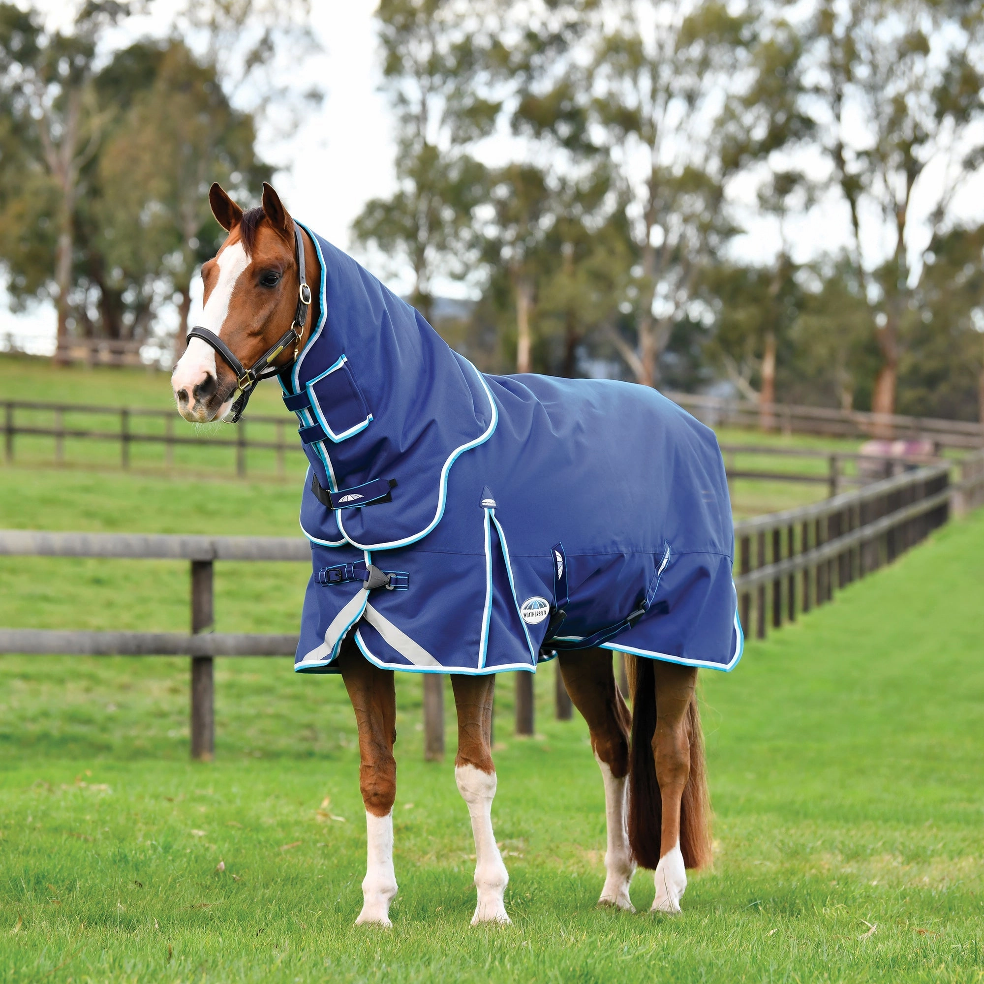 WeatherBeeta ComFITec Ultra Hardi Detach-a-Neck Turnout Blanket, Medium