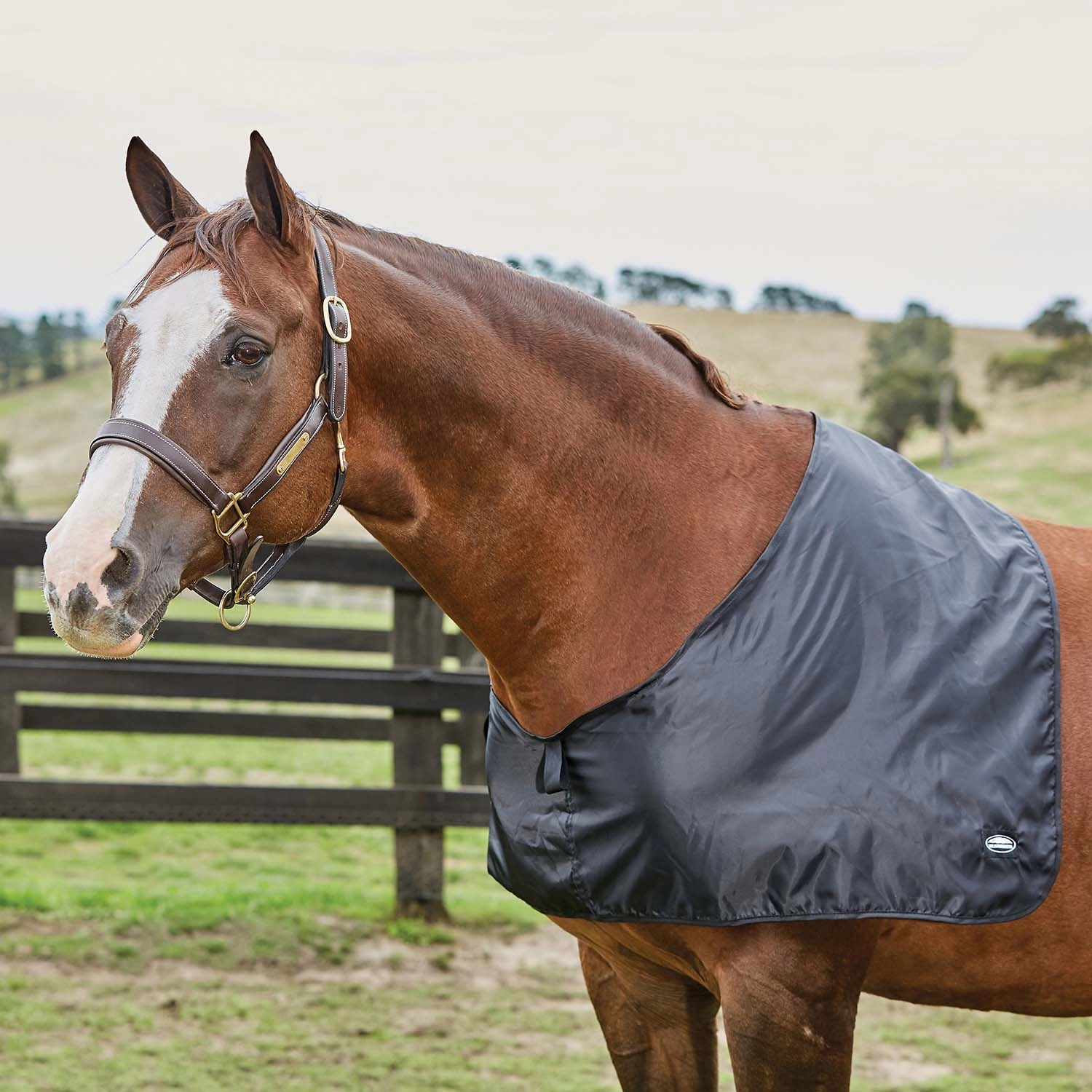 WeatherBeeta Satin Shoulder Guard, Black