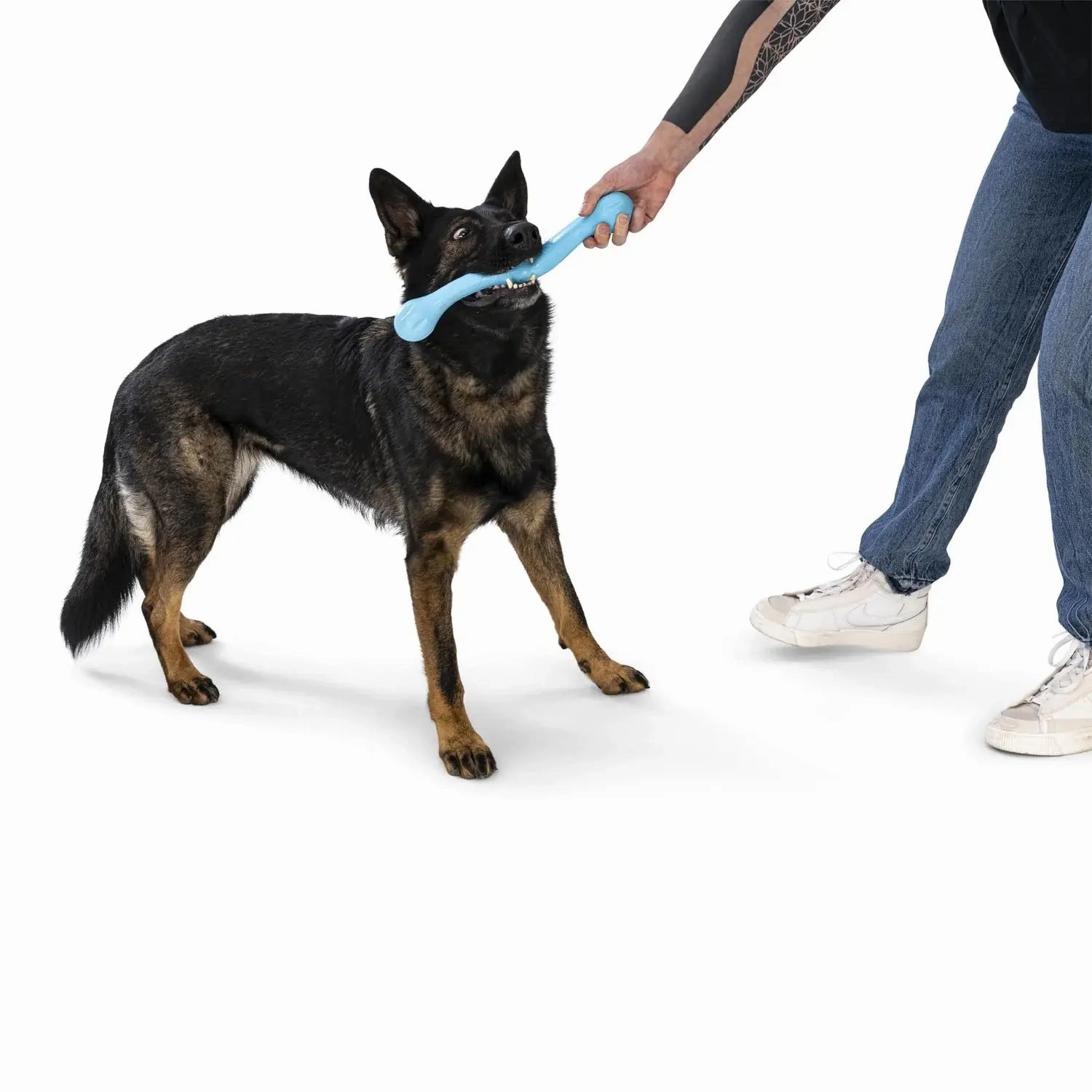 West Paw Zogoflex Echo Zwig
