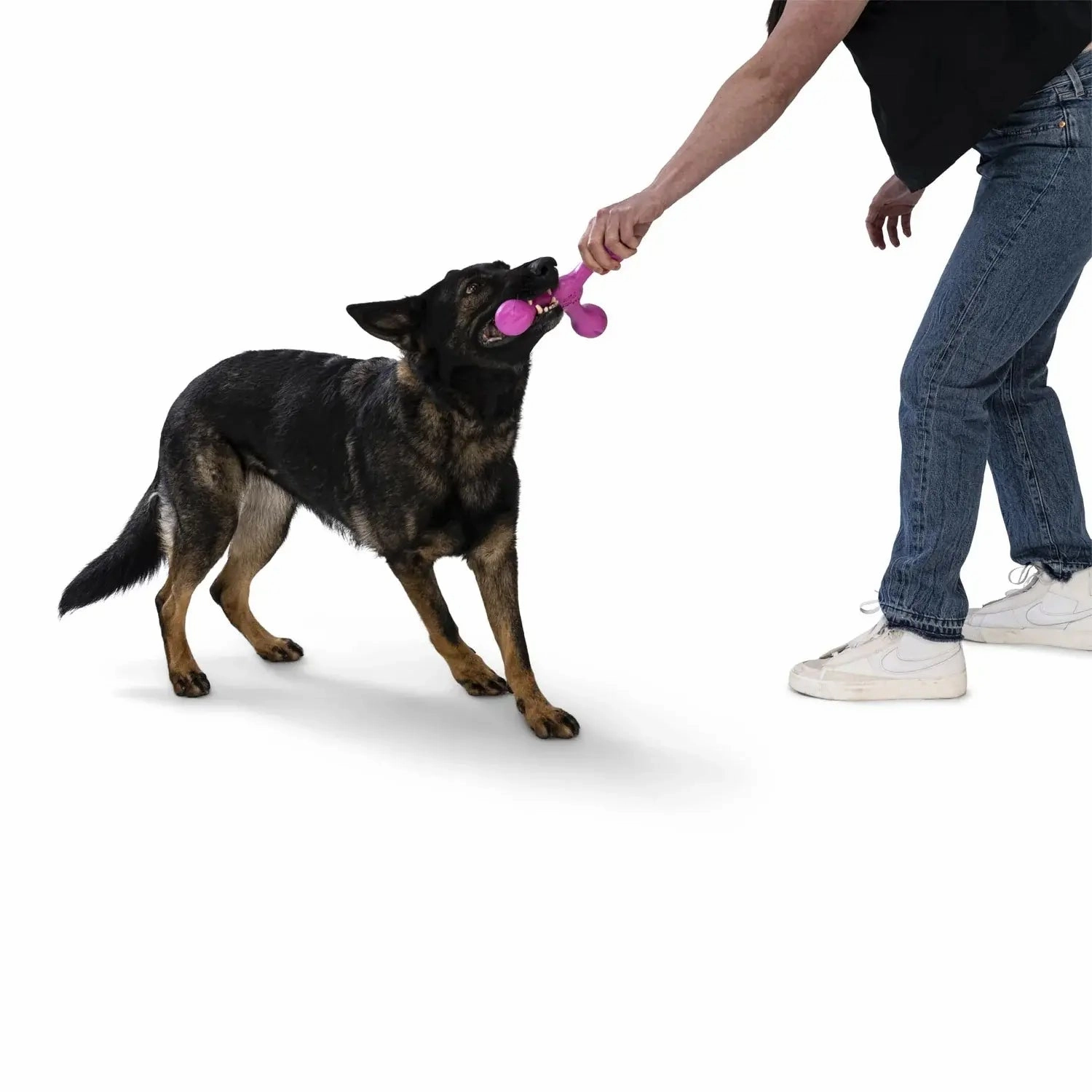 West Paw Zogoflex Echo Zwig