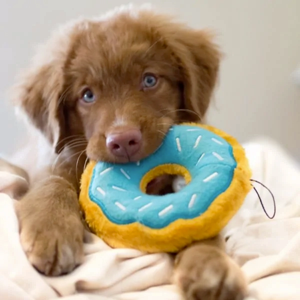Zippy Squeaky Dog Toy, Donutz Blueberry