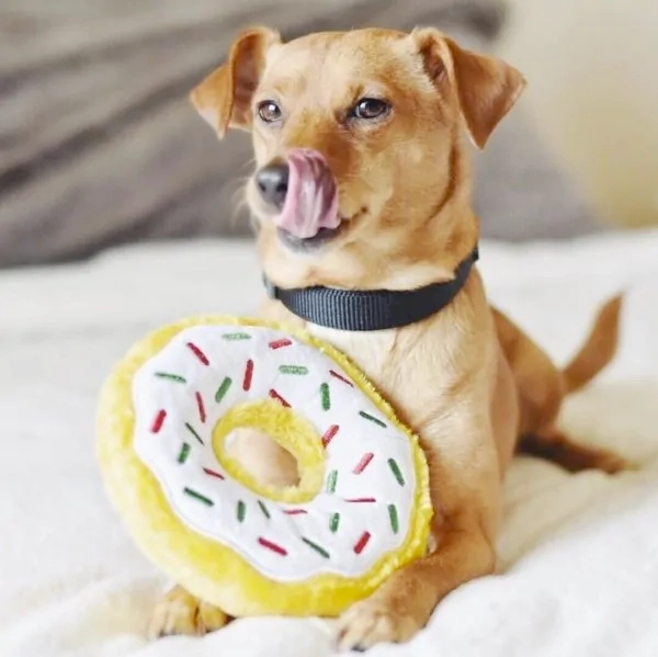 Zippy Squeaky Dog Toy, Donutz Peppermint