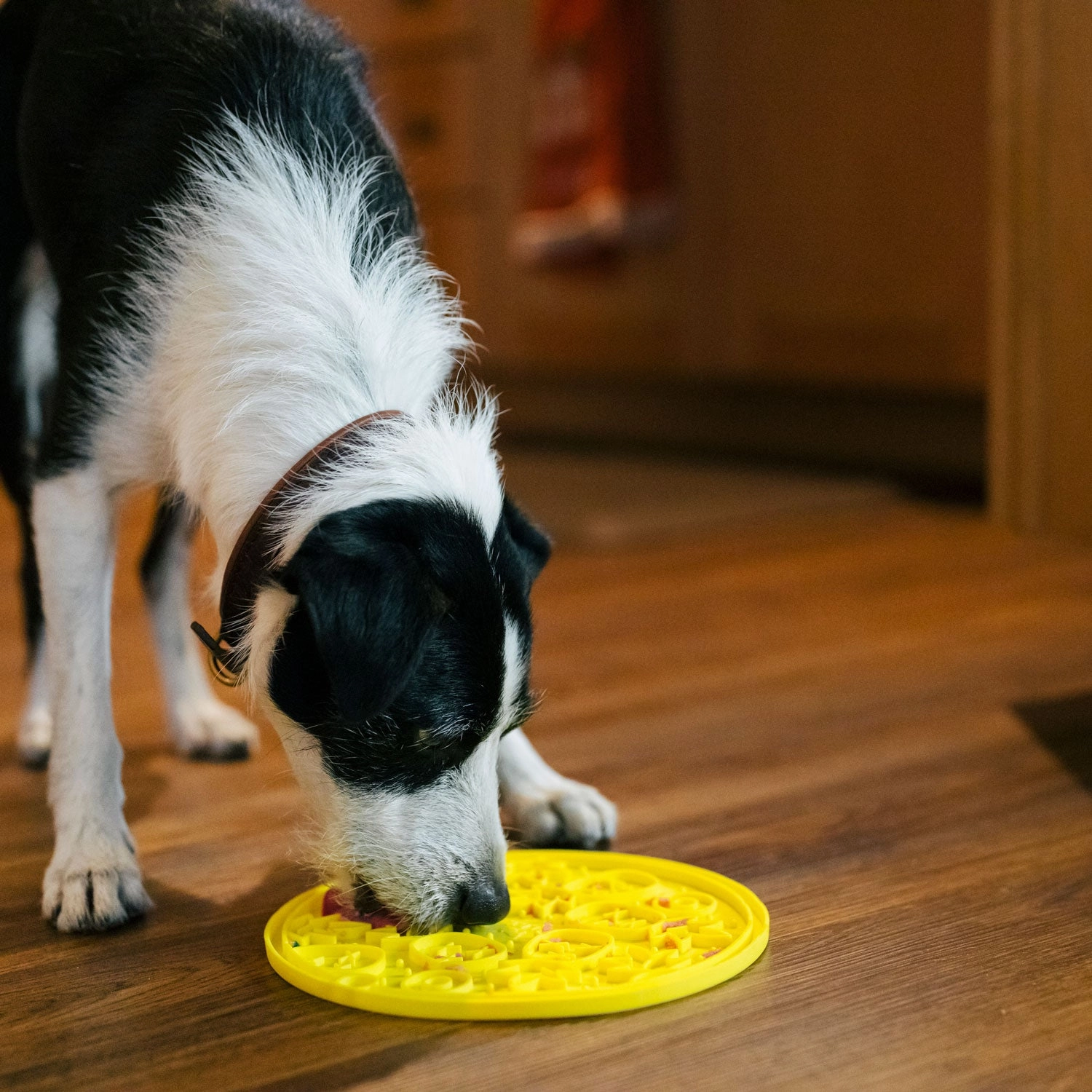 ZoomieRex EverLick Mat