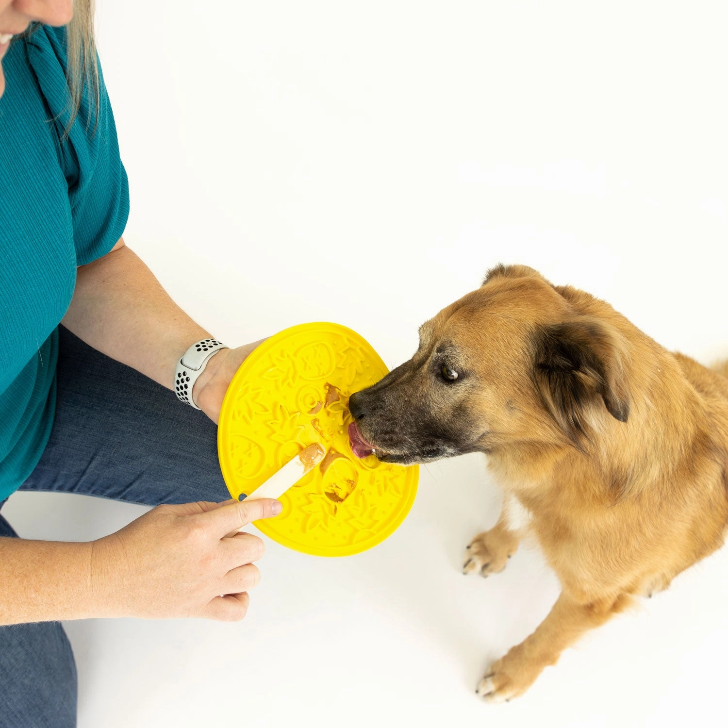 ZoomieRex EverLick Mat