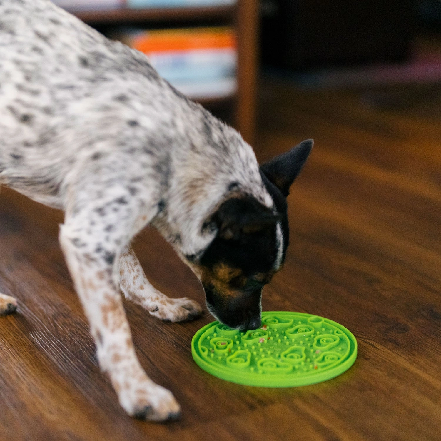 ZoomieRex EverLick Mat